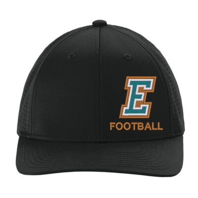 Snapback Pro-Cut Hat embroidered Firebirds 2 Thumbnail